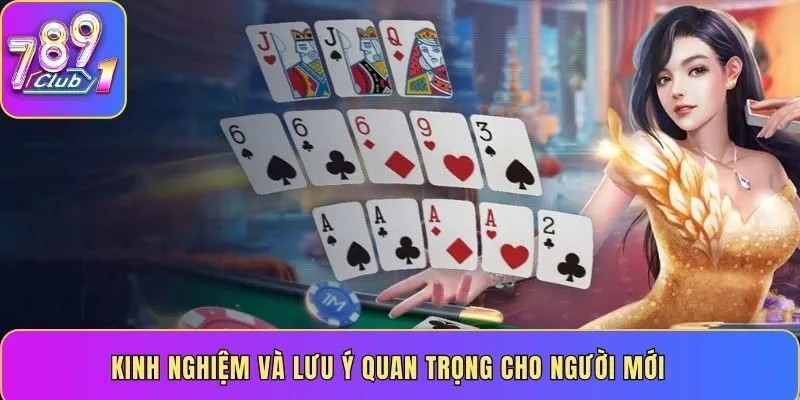 Kinh nghiệm và lưu ý quan trọng cho người mới